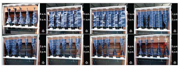 Figure 18. The kinetic façade version 2 movement in different time periods.