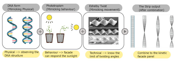 Figure 7. Inspiration for a façade merging physical DNA and phototropism behavior.