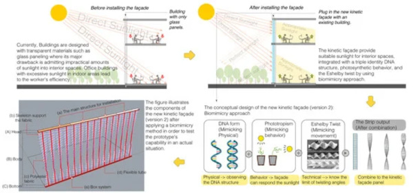 Graphical Abstract